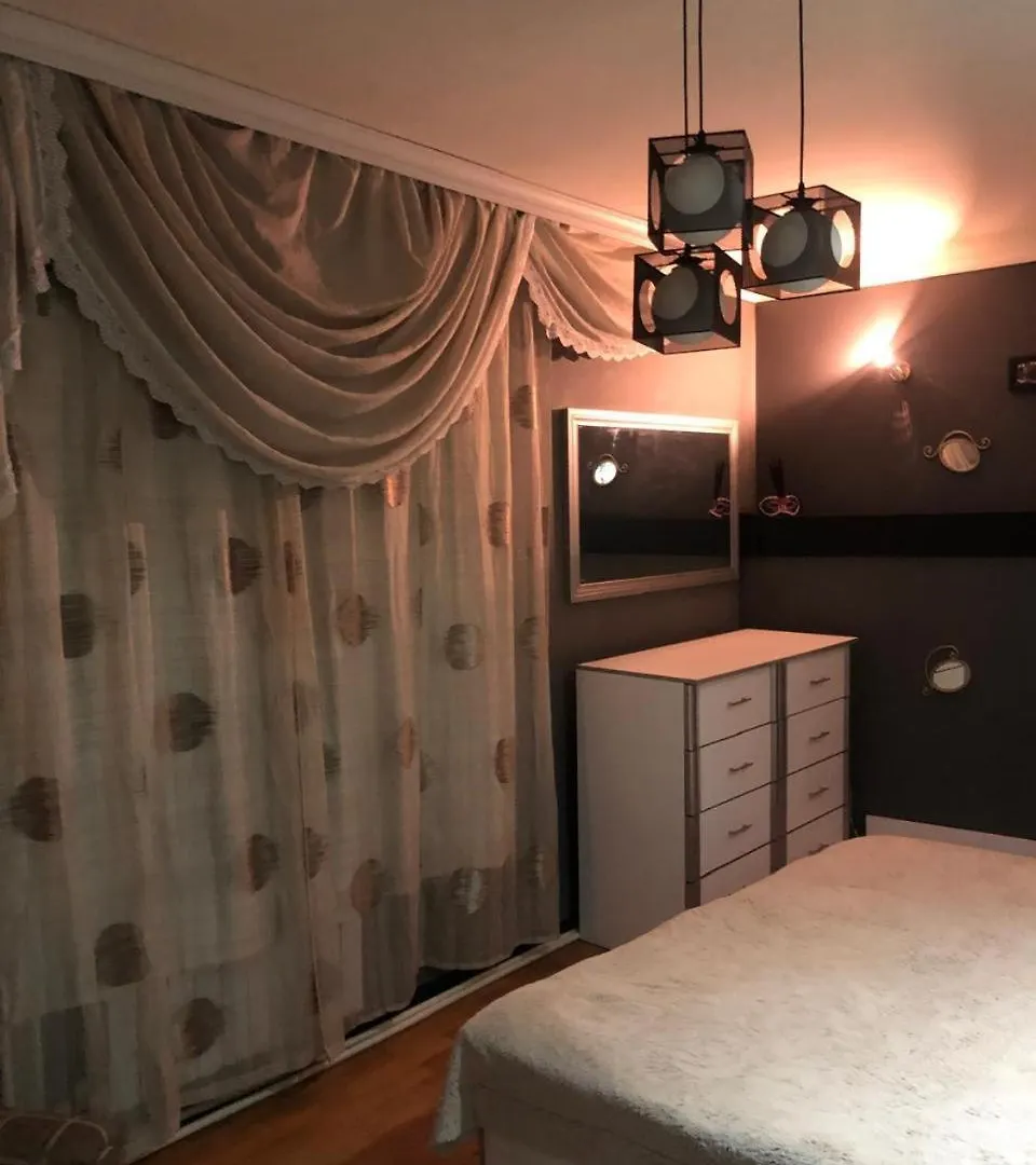Duplex Nizami Str アパート バクー